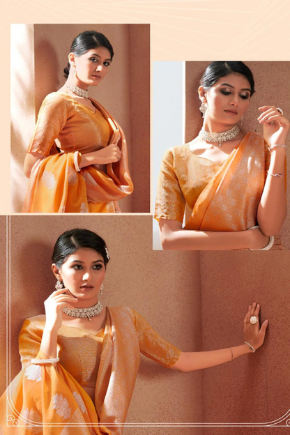 Pastel Orange Silk with Silver Zari Weaving Border